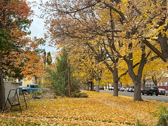 হেমন্ত মানেই শুধু রঙের খেলা নয়, এ সময় প্রাণীকুলও প্রস্তুতি নেয় দীর্ঘ শীতের জন্য।