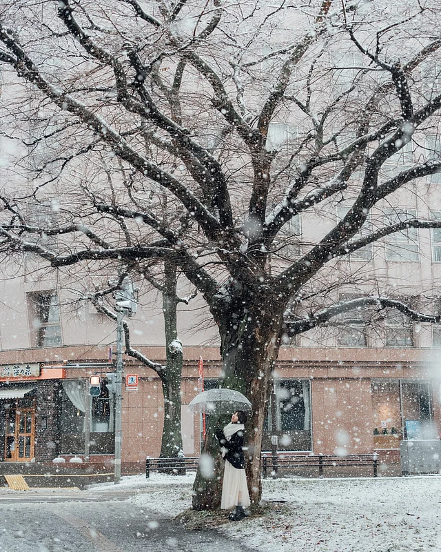 জাপানের হোক্কাইডোর উত্তরের দ্বীপ সাপ্পোরো ও নিসেকোর মতো এলাকায় গভীর তুষারপাত হয়।