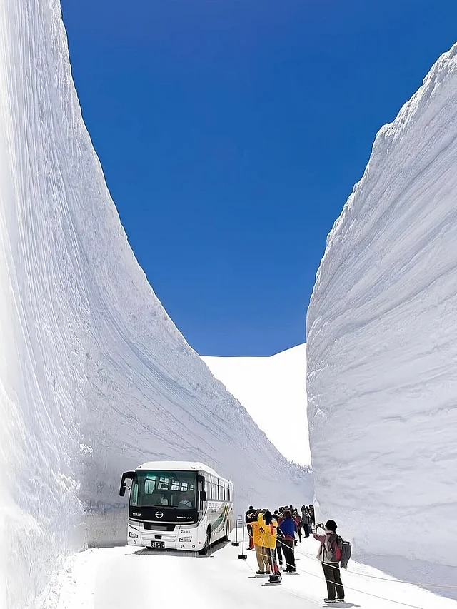 তাতেয়ামা কুরোবে আলপাইন রুটে ১০০ ফুটের বেশি তুষার জমে, যা বিশাল বরফের দেয়াল তৈরি করে