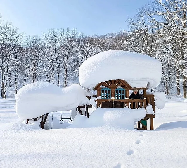 নরম টেক্সচারের ও মানসম্মত তুষারের জন্য বিশ্বজুড়ে পরিচিত