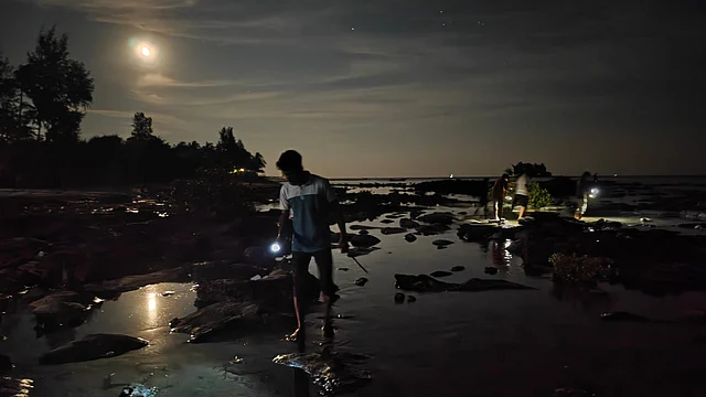 জোয়ারের পানিতে চলে মাছ ধরা