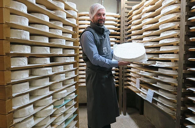 গোলাকার, নরম ৩৬ সেন্টিমিটার ব্যাস এবং ৩ সেন্টিমিটার পুরু এই পনিরের প্রতিটি প্রায় ৩ কেজি ওজনের হয়ে থাকে। হালকা ফুলেল সুবাসের পুষ্পিত পাতলা আস্তরণসহ খেতে আলাদা স্বাদের হয়