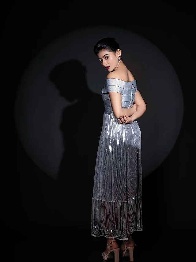 সিলভার সিকুইনের অফ-শোল্ডার গাউন পরে ঝলমল করছেন সুন্দরী।