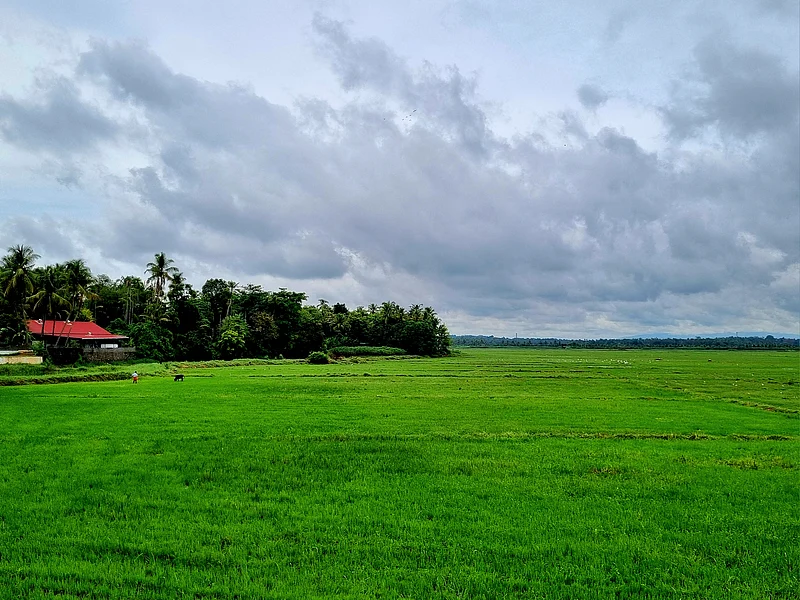 চেরামান মসজিদে যাবার পথের দৃশ্য