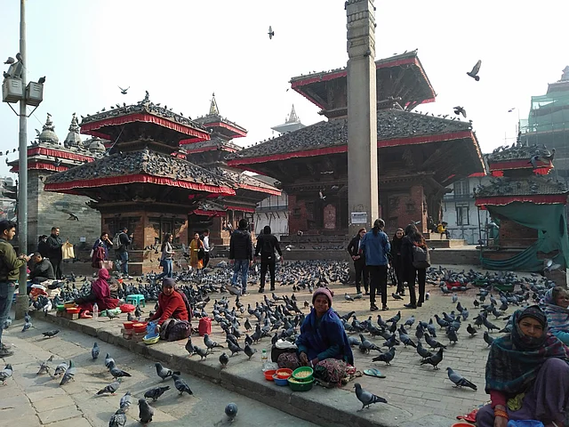 হাজারো কবুতর ঘিরে ধরেছে দর্শনার্থীদের