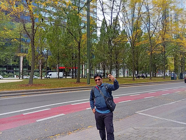 সবুজ পাতায় ভরা গাছ