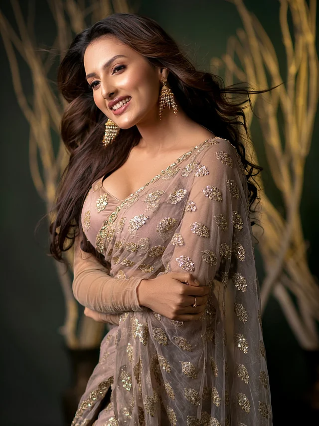 জমকালো শাড়িতে পার্টি লুকে ধরা দিয়েছেন নায়িকা