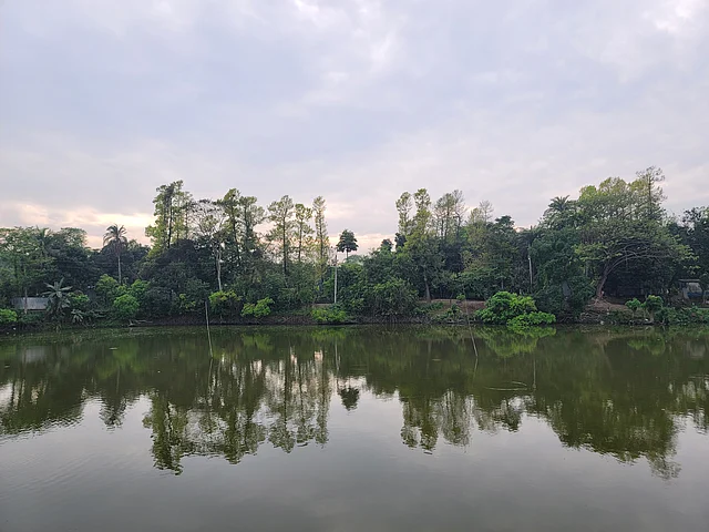 বিকেলের মাইজপাড়া; দিঘীতে প্রকৃতির প্রতিচ্ছবি