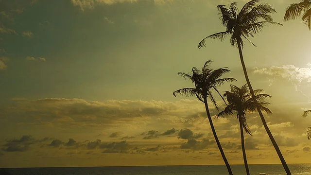 আচ্ছা কবি জীবনানন্দ দাশ কি কখনো ‘সিংহল সমুদ্র’ দেখেছেন?