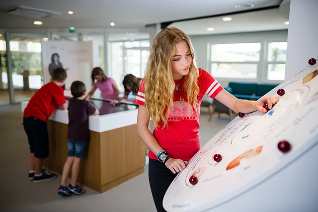 জাদুঘর ‘ল্য ডিভিন ফ্রোমাজেরি’-তে একদল কিশোর দর্শনার্থী