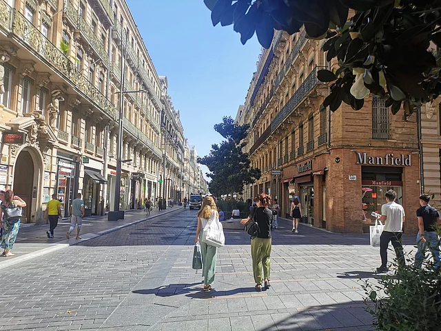 গারোঁন নদীর তীরে তুলুজ শহরের প্রধান রাস্তাটি পথচারী এবং সারি সারি উদয়পদ্ম ফুল গাছের দখলে