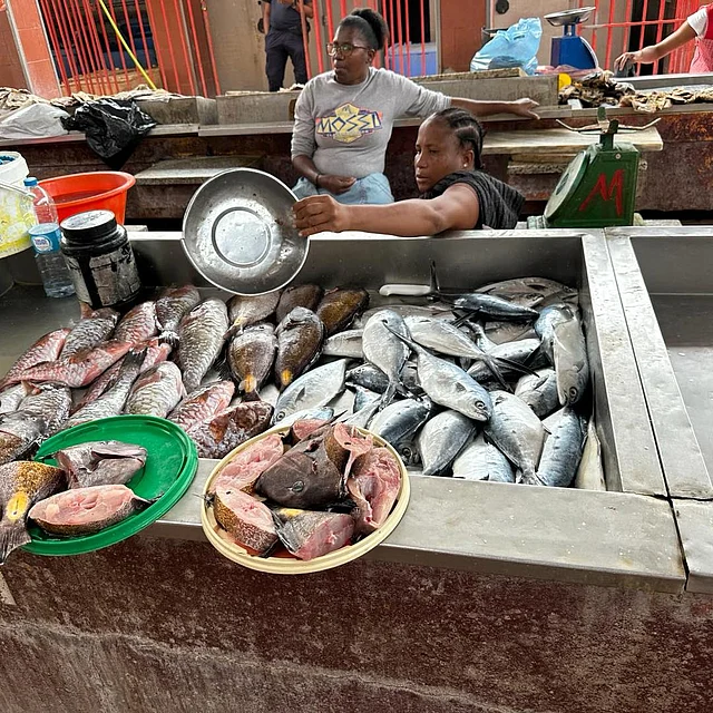 মাছনির্ভর অর্থনীতি কেপ ভার্দের
