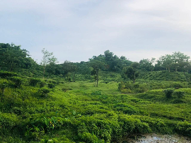 দিগন্ত বিস্তৃত সবুজ, চা-বাগানের সারি আর পাহাড়ি প্রকৃতি