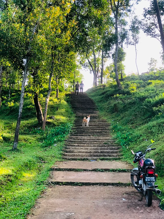 যে পথ গেছে...
