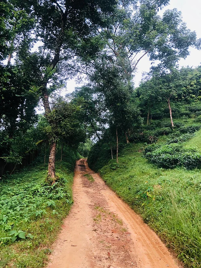 চলেছি একেলা