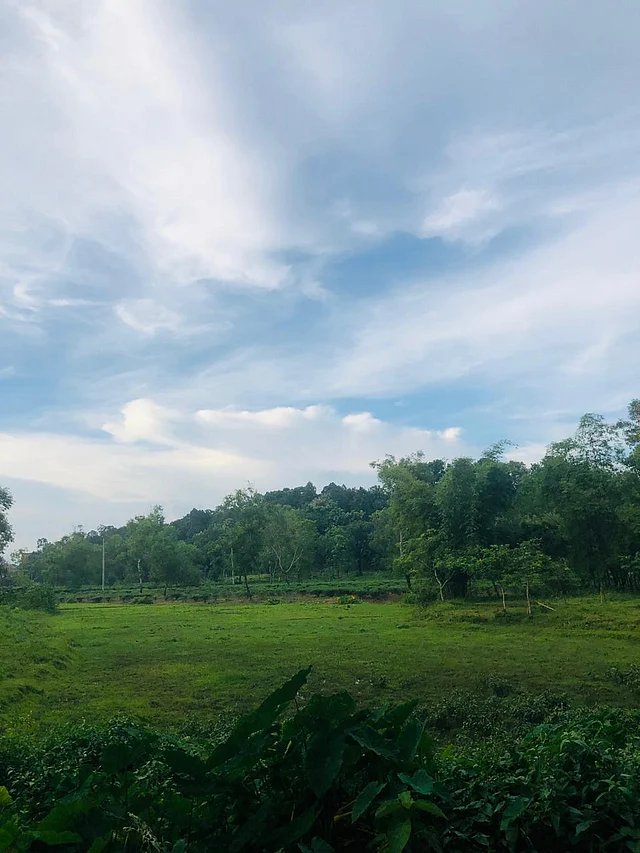 সবুজে মোড়া প্রকৃতি
