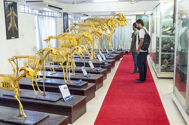 সব বয়সী দর্শনার্থীর জন্যই উন্মুক্ত