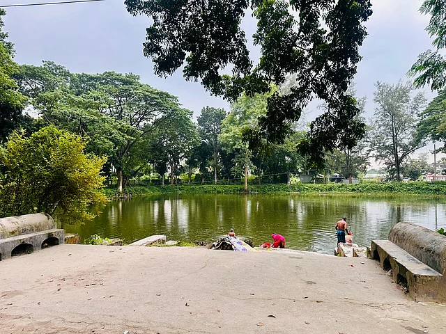 টি পন্ড
