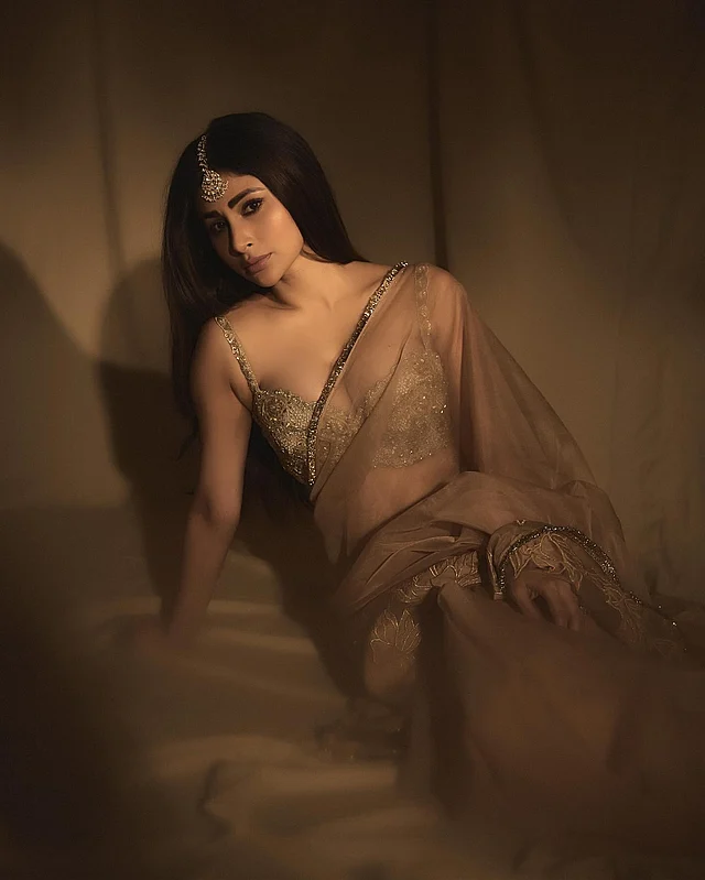 এই এথনিক লুকে সুন্দরী বেছে নিয়েছেন কপার গোল্ড শিয়ার শাড়ি আর জমকালো ডিপনেক ব্রালেট ।