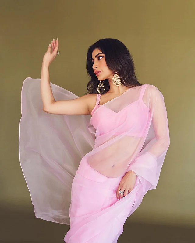 গোলাপি শিফন শাড়ি আর ম্যাচিং স্লিভলেস ব্লাউজে মৌনী যেন হাওয়াই মিঠাই