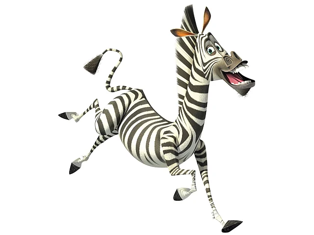 Zebras have stripes! File Photo