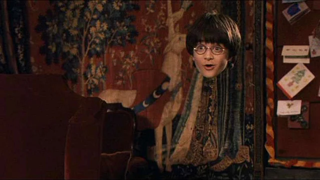 Harry Potter invisibility cloak now a reality. File photo