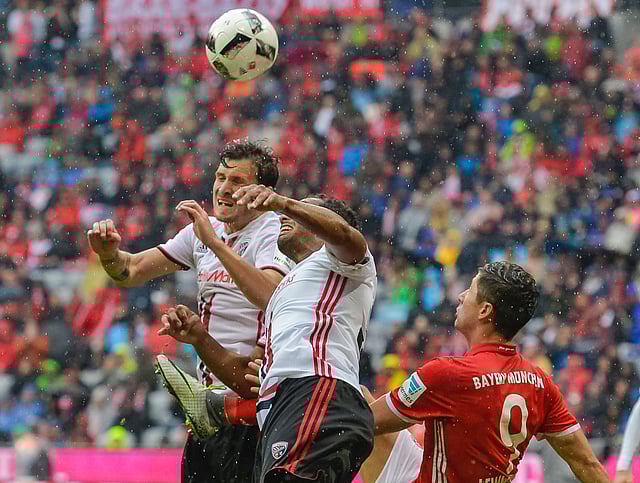 Ingolstadt's midfielder Pascal Gross (L), Ingolstadt's midfielder Marvin Matip (C) and Bayern Munich's Polish striker Robert Lewandowski vie for the ball during the German first division Bundesliga football match of Bayern Munich vs FC Ingolstadt in Munich, southern Germany, on 17 September, 2016. Photo: AFP