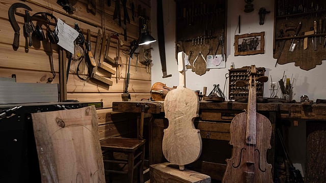 Kalisz bass are pictured on 10 May 2018 at a workshop in the village of Kamiensko, just north of the western Polish city of Poznan. Photo: AFP