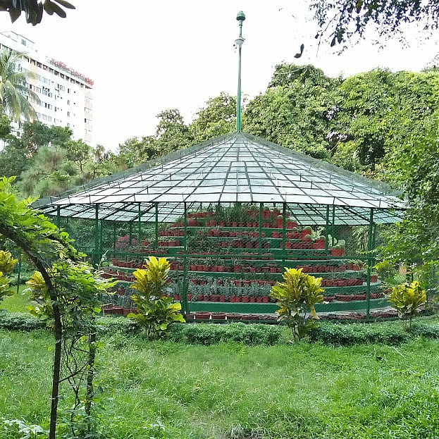 Photo: Nusrat Nowrin