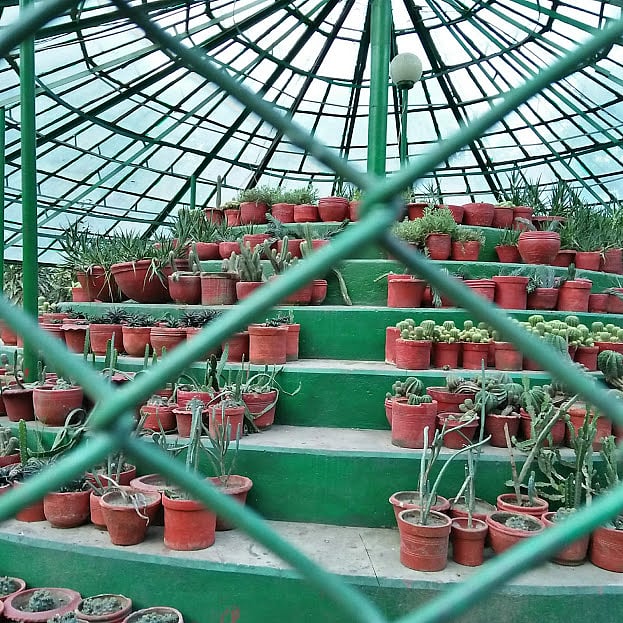 Photo: Nusrat Nowrin