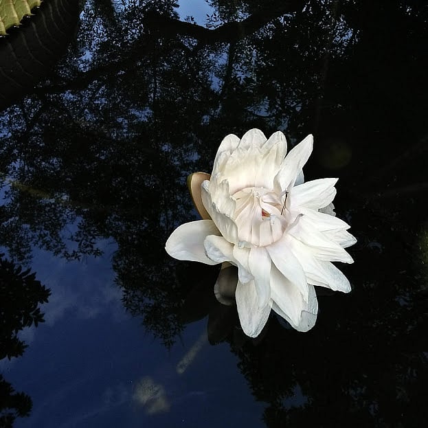 Photo: Nusrat Nowrin