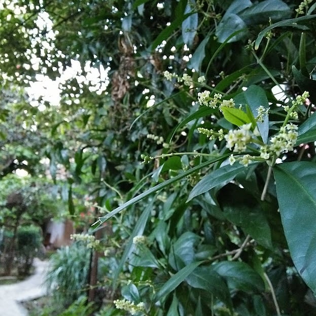 Photo: Nusrat Nowrin