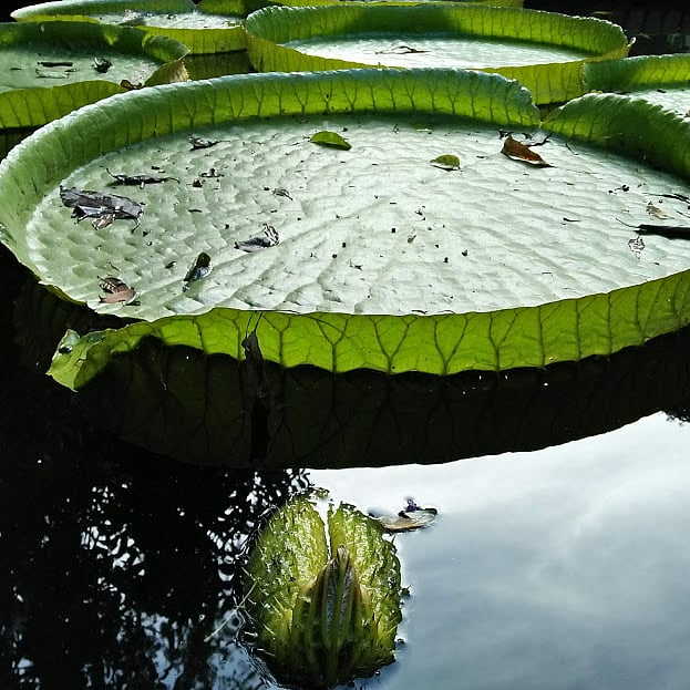 Photo: Nusrat Nowrin