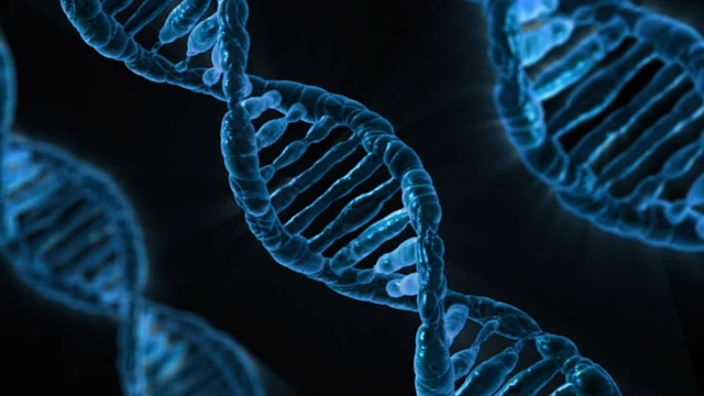 Gene structure. File Photo