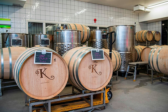 Wine made at the Fladie vineyard is held in wooden barrels, near the city of Lund in Skane County, southern Sweden, on 28 August 2019. Photo: AFP