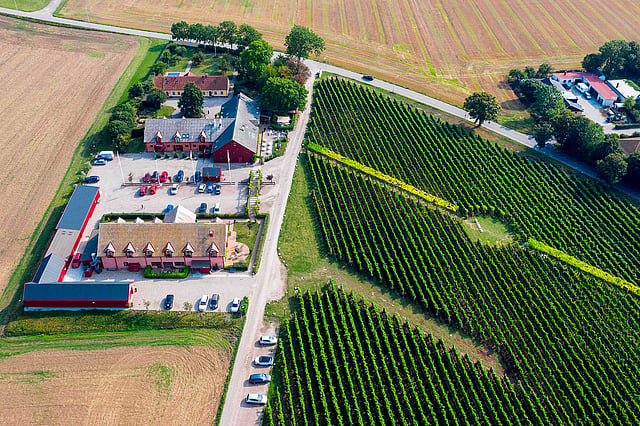 This aerial view shows the Fladie vineyard, located near the city of Lund in Skane County, southern Sweden, on 28 August 2019. Photo: AFP
