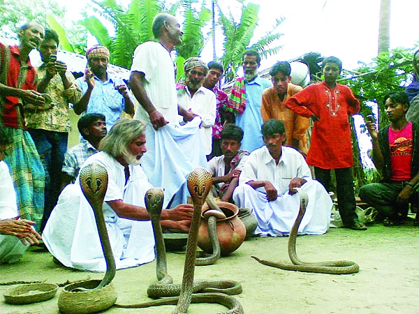 কুষ্টিয়ার ফুলবাড়িয়া গ্রামে ঝাঁপান খেলার দৃশ্য