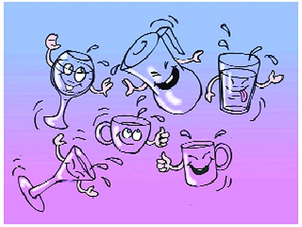 থার্মোফ্লাস্কের জন্মদিনে