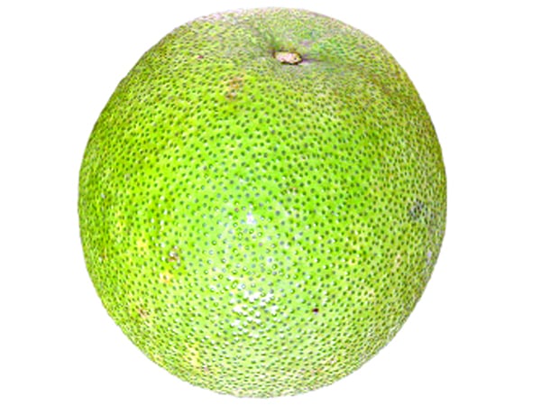 বাতাবি লেবু