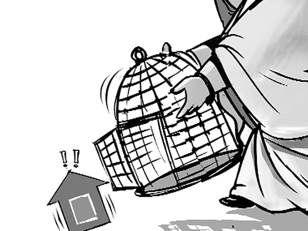 কার্টুন: তুলি