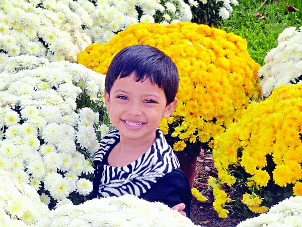 চাঁদ উঠেছে, ফুল ফুটেছে