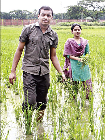 চলছে কৃষির ব্যবহারিক ক্লাস