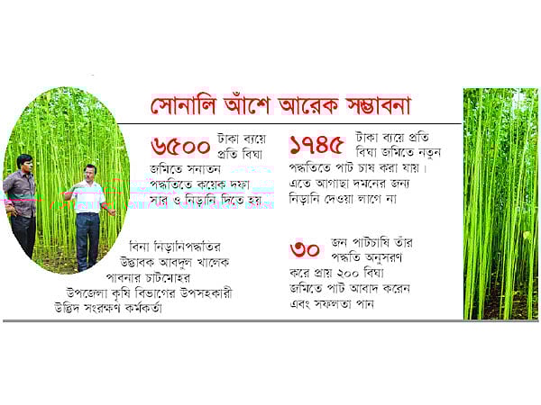 সোনালি আঁশে আরেক সম্ভাবনা