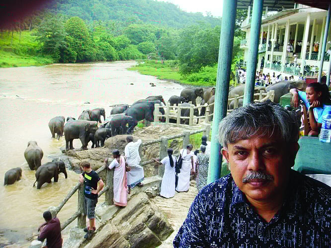 হাতির অনাথ আশ্রম। চলছে স্নানপর্ব