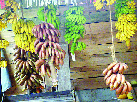 নানা রঙের কলা