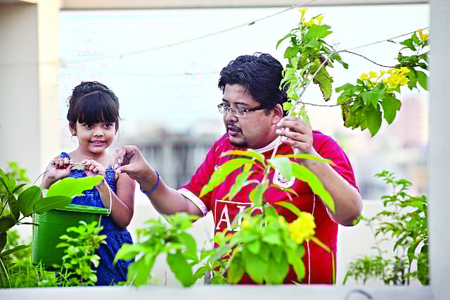 বাবা গাছের পরিচর্যা করছেন