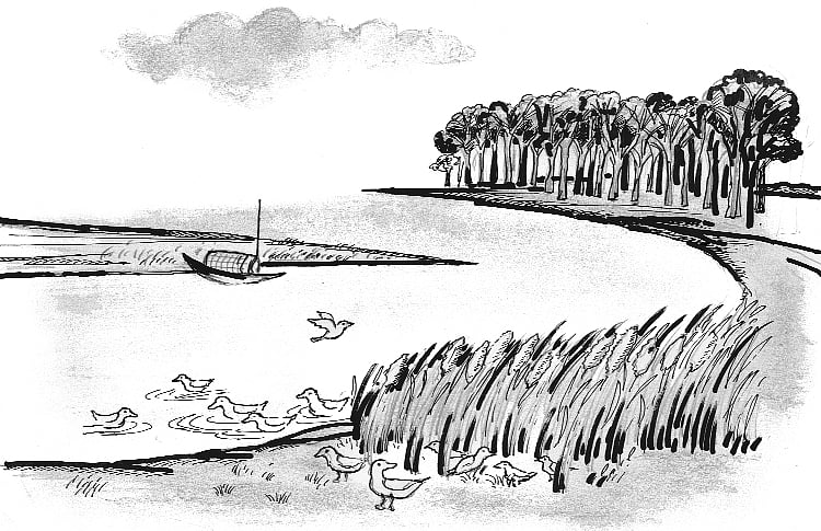 মাসুক হেলাল