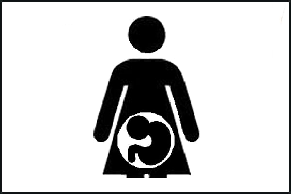 গর্ভবতী মায়ের পুষ্টি