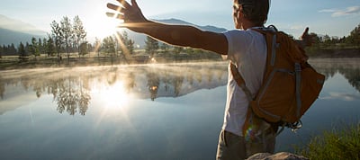 বেড়ালে মানসিক প্রশান্তি মেলে