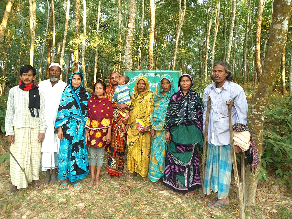 চকরিয়ার হারবাংয়ে সামাজিক বনায়ন পাল্টে দিয়েছে দরিদ্র এই মানুষগুলোর জীবন প্রথম আলো